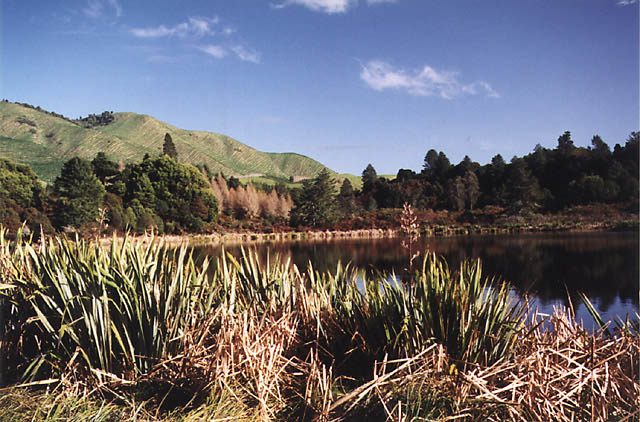 new zealand-03