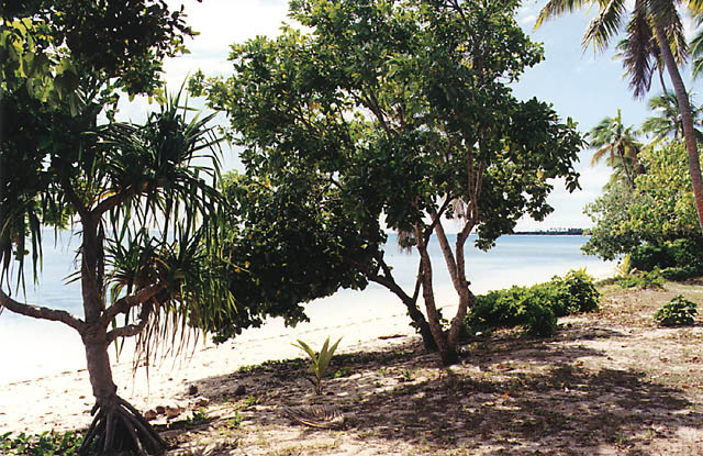 tonga-07