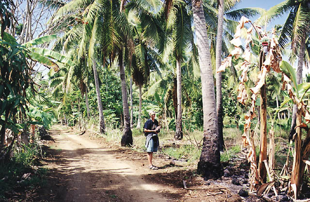 tonga-13