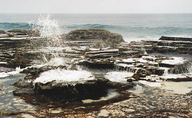 tonga-15